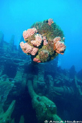 Crankshaft of the Conch wreck off Hikkaduwa, Sri Lanka. by Anouk Houben 